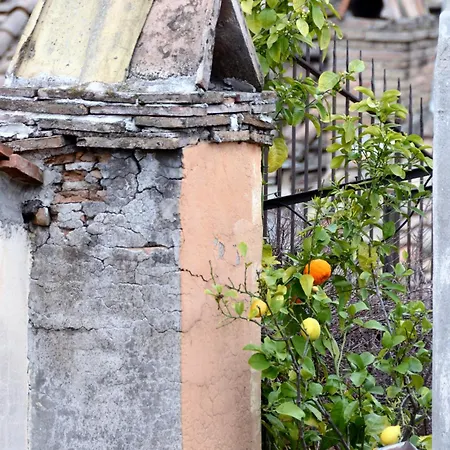 Coronari * ローマ