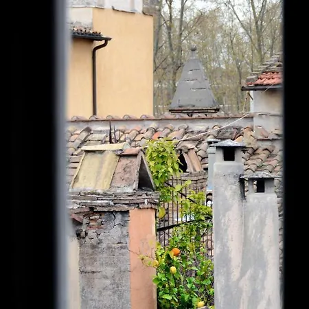 아파르타멘토 코로나리