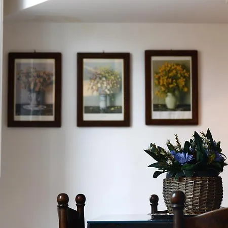 아파르타멘토 코로나리 아파트 *